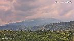 foresta2-20250730144035.jpg