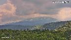 foresta2-20250730145036.jpg
