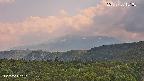 foresta2-20250730151035.jpg