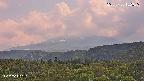 foresta2-20250730152035.jpg