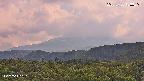 foresta2-20250730153036.jpg