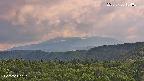 foresta2-20250730154035.jpg