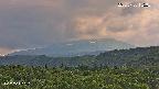 foresta2-20250730155035.jpg