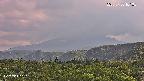 foresta2-20250730161035.jpg