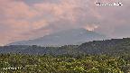 foresta2-20250730162035.jpg