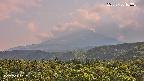 foresta2-20250730163035.jpg