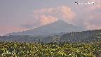foresta2-20250730164035.jpg