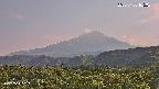 foresta2-20250730165035.jpg