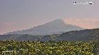 foresta2-20250730170035.jpg