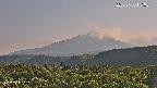 foresta2-20250730171035.jpg