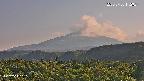 foresta2-20250730172035.jpg