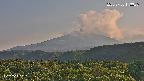 foresta2-20250730173036.jpg