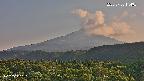 foresta2-20250730174035.jpg