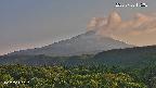 foresta2-20250730175035.jpg