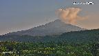 foresta2-20250730180035.jpg
