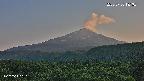 foresta2-20250730181035.jpg