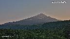 foresta2-20250730182035.jpg