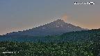 foresta2-20250730183035.jpg