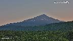 foresta2-20250730184035.jpg