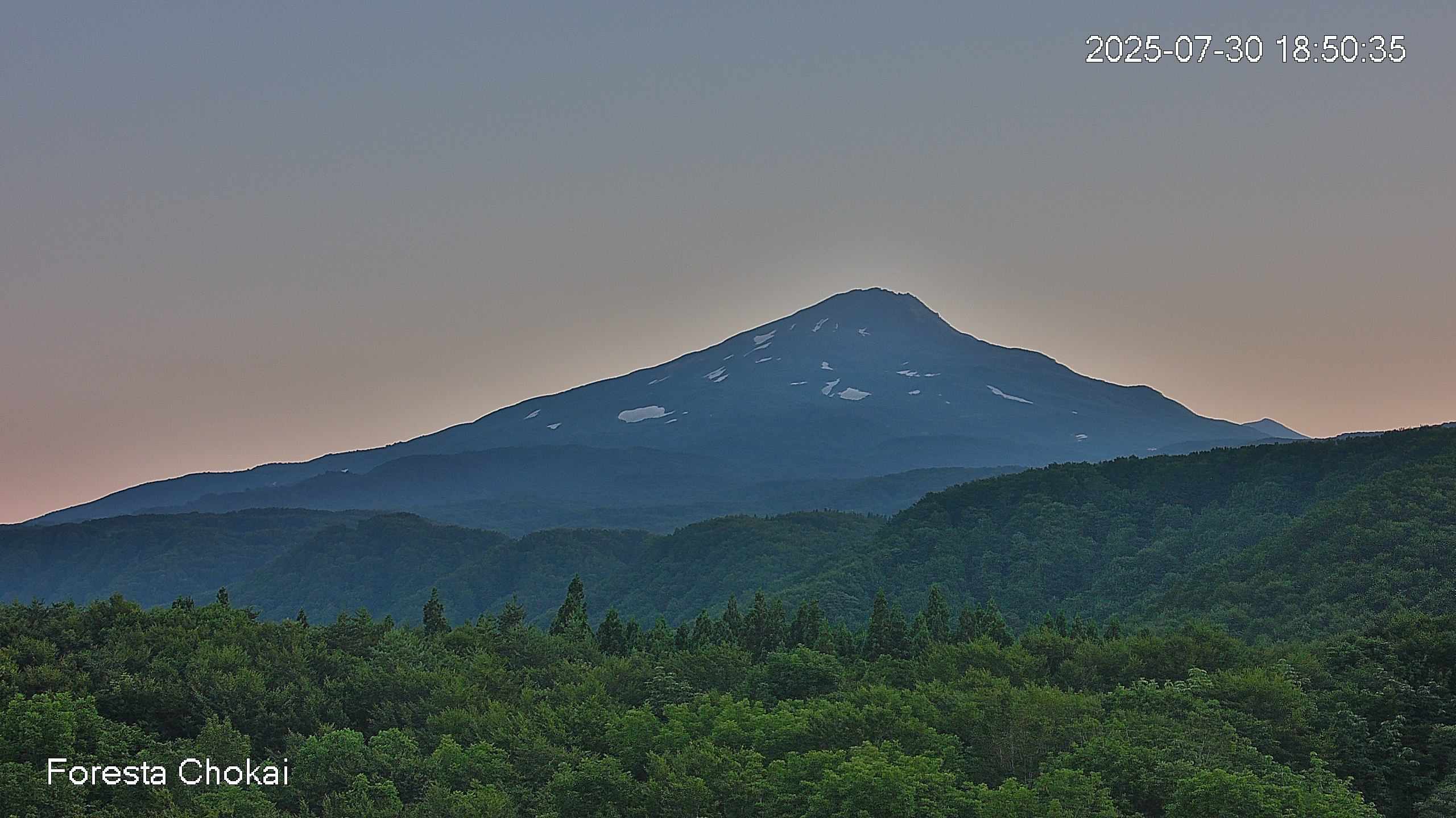 foresta2-20250730185036.jpg