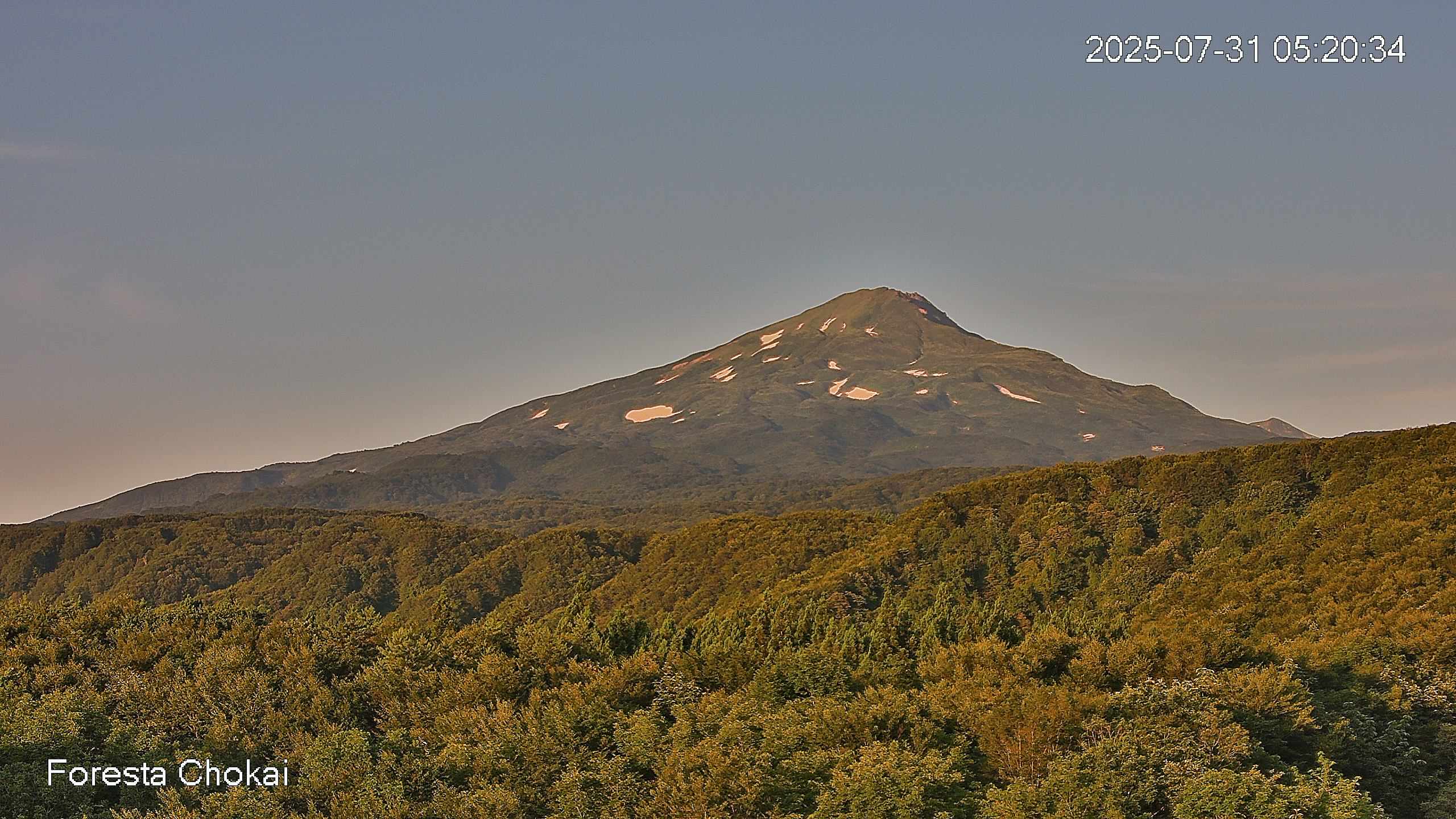 foresta2-20250731052035.jpg